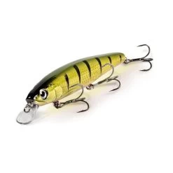 Quantum 4Street Bangry Zander 12cm (17.5gr) -Winkel Voor Visuitrusting 2526721Quantum 4Street Bangry Zander 12cm Night 6