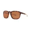 Fortis Eyewear Strokes 24/7 Brown 1 Fortis Eyewear Strokes 24/7 Brown -Winkel Voor Visuitrusting 692283xctmpn65tEC